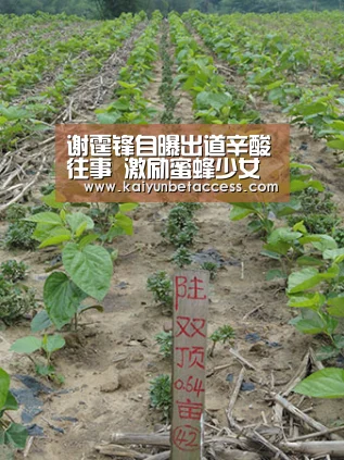 谢霆锋自曝出道辛酸往事 激励蜜蜂少女要吃苦-开运登录(图2) 开运电竞