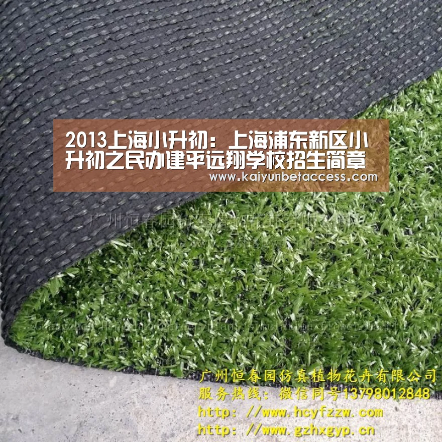 2013上海小升初:上海浦东新区小升初之民办建平远翔学校招生简章‘开运登录’(图2) 开运登录
