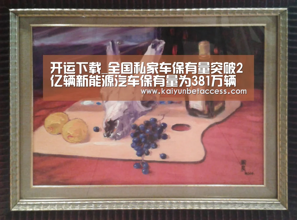 开运下载_全国私家车保有量突破2亿辆新能源汽车保有量为381万辆(图4) 开运下载