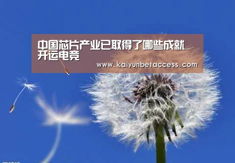 中国芯片产业已取得了哪些成就_开运电竞(图2) 开运官网